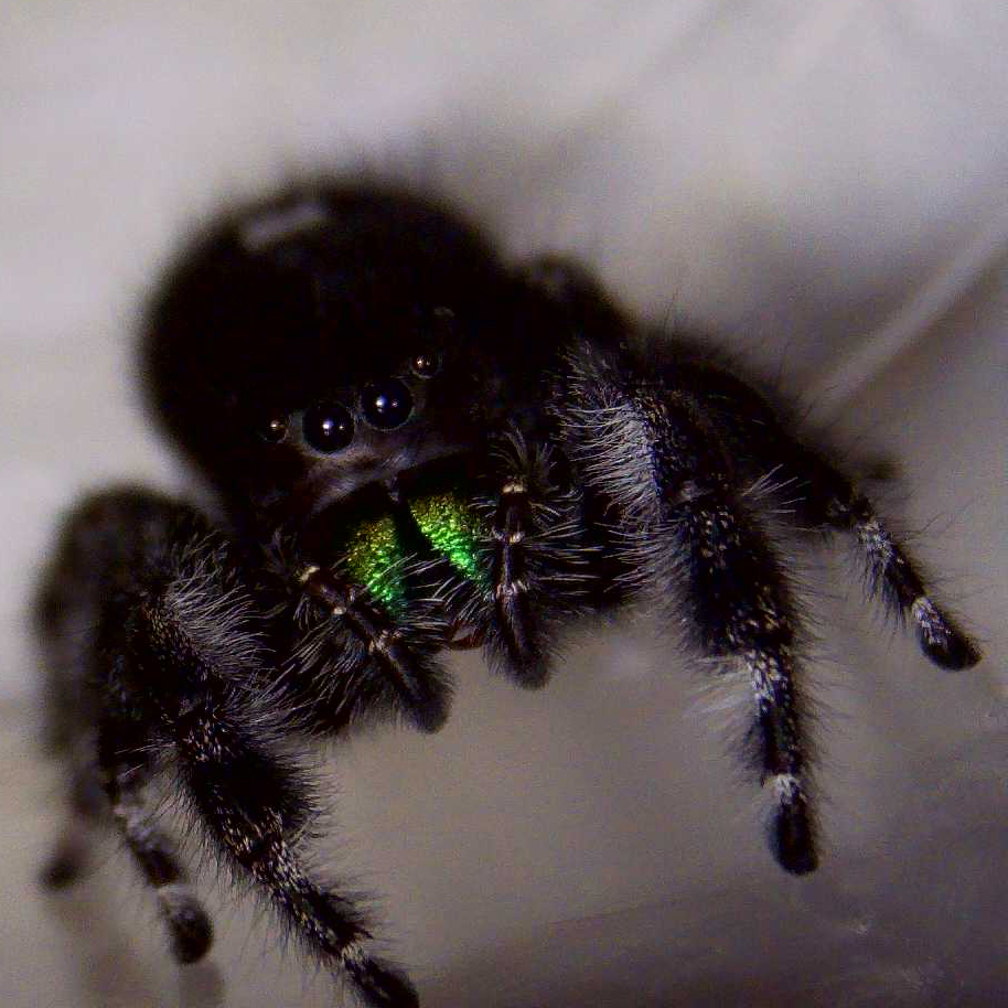 Up Close and&nbsp;Personal